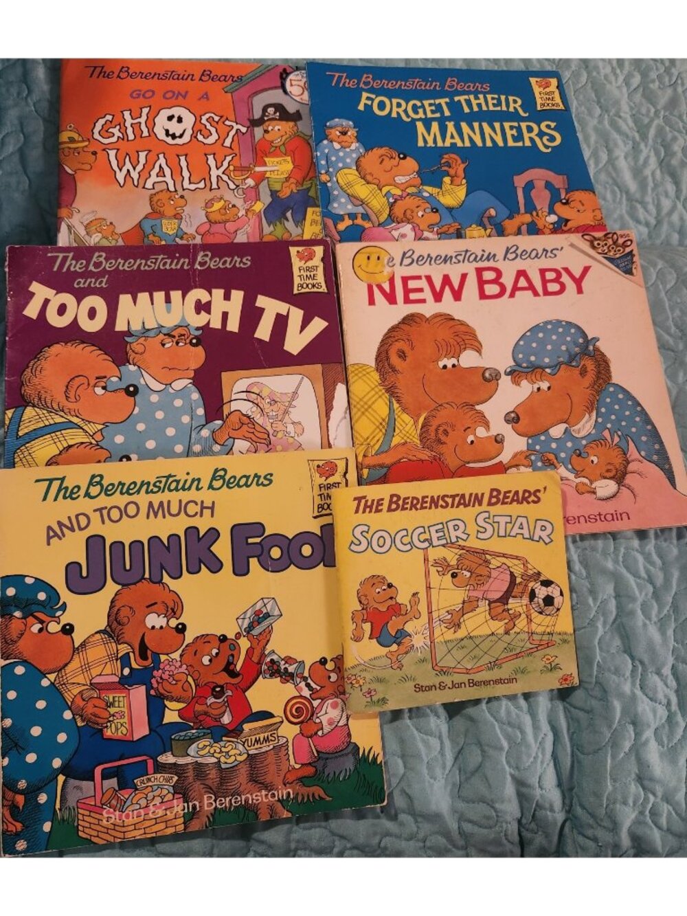 The Berenstain Bears Book Lot
